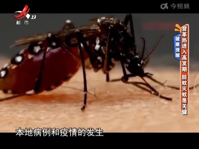 健康提醒——登革热进入高发期 防蚊灭蚊是关键