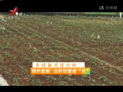 稻花香里20220616 乡村振兴进行时——绿色低碳 点秆也能成“金”