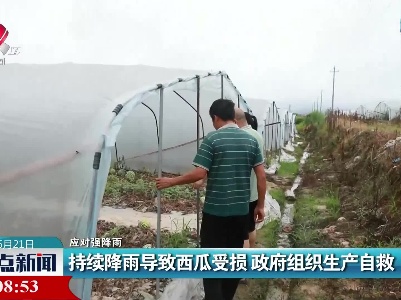 【应对强降雨】持续降雨导致西瓜受损 政府组织生产自救