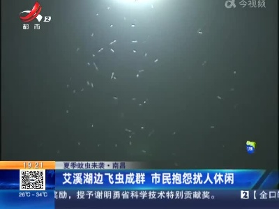 【夏季蚊虫来袭】南昌：艾溪湖边飞虫成群 市民抱怨扰人休闲