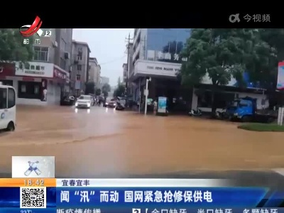 宜春宜丰：闻“汛”而动 国网紧急抢修保供电