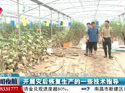 龙南市：洪水退去 农户生产自救忙