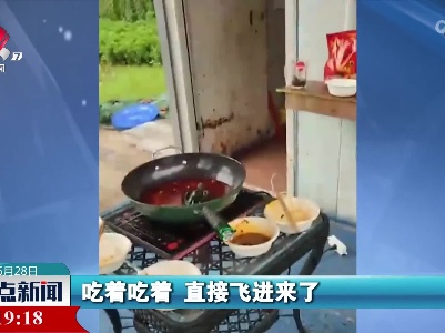 众人路边吃火锅 鸟儿精准飞入锅中