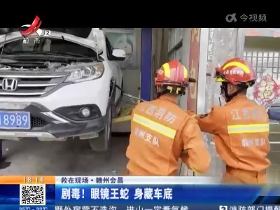 【救在现场】赣州会昌：剧毒！眼镜王蛇 身藏车底