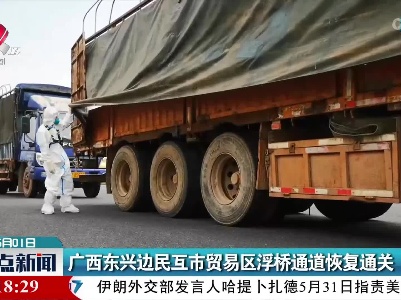 广西东兴边民互市贸易区浮桥通道恢复通关