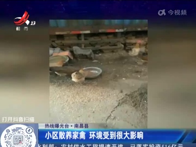 【热线曝光台】南昌县：小区散养家禽 环境受到很大影响