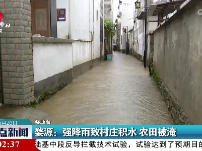 婺源：强降雨致村庄积水 农田被淹