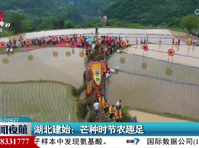 湖北建始：芒种时节农趣足