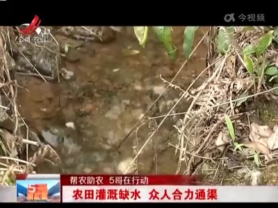 五哥帮忙团20220604