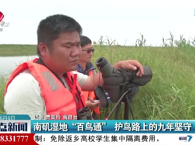 南矶湿地“百鸟通” 护鸟路上的九年坚守
