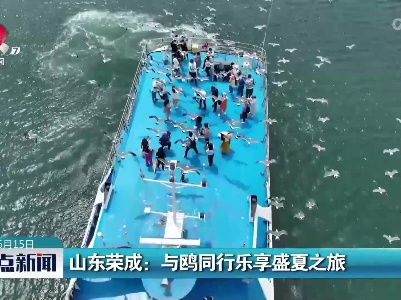 山东荣成：与鸥同行乐享盛夏之旅