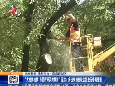 【急难愁盼 我帮你办·南昌西湖区】“大树掉枯枝 市民呼吁及时修剪”追踪：多出来的树枝全部进行修剪处理