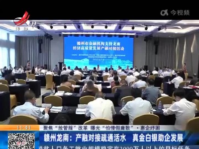 【聚焦“放管服”改革 曝光“怕慢假庸散”·慧企纾困】赣州龙南：产融对接疏通活水 真金白银助企发展