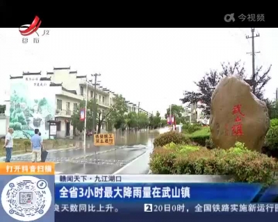 【赣闻天下】九江湖口：全省3小时最大降雨量在武山镇