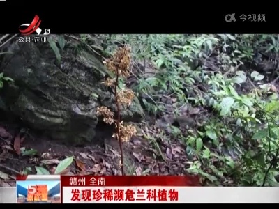 赣州全南：发现珍稀濒危兰科植物