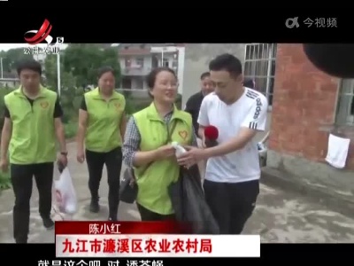 九江濂溪区：脐橙园遭虫害 农技专家开“处方”