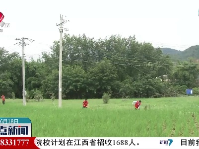 整点新闻20220618 10:00