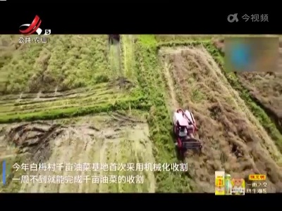 新闻晚高峰20220601