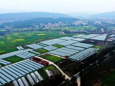 青原区：“红色引擎”激活乡村 振兴新动能
