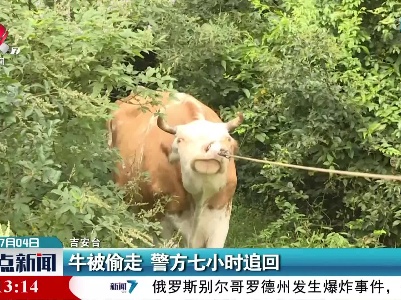 牛被偷走 警方七小时追回