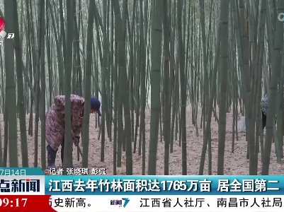 江西去年竹林面积达1765万亩 居全国第二