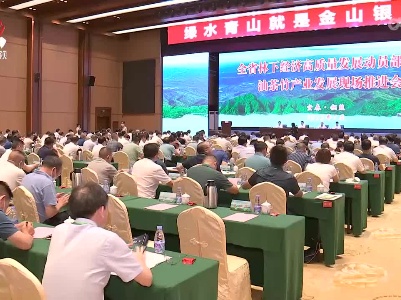江西油茶面积产量产值均居全国第二位