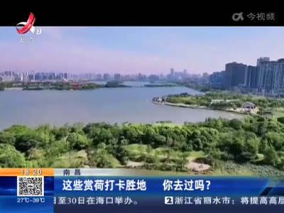 都市现场20220725