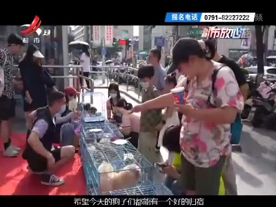 都市放心游20220703