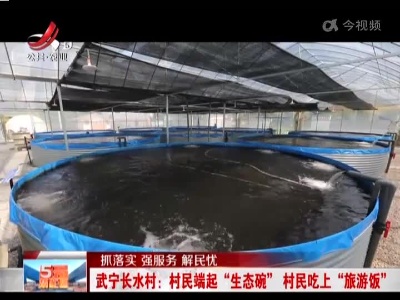 【抓落实 强服务 解民忧】武宁长水村：村民端起“生态碗”村民吃上“旅游饭”