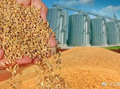 江西省早稻开镰上市价格高开，启动早稻最低收购价可能性不大