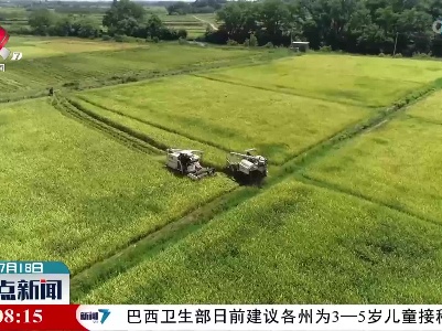 余江：31.3万亩早稻开镰抢收