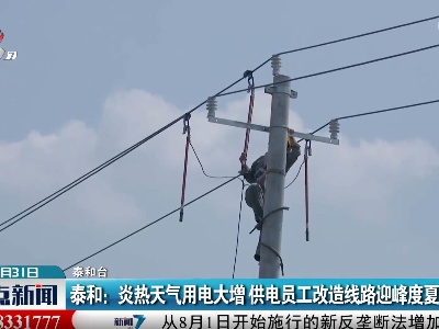 泰和：炎热天气用电大增 供电员工改造线路迎峰度夏