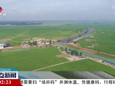 整点新闻20220702 12:00