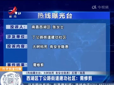 【《热线曝光台：大树枯死 有安全隐患》反馈·南昌】西湖区丁公路街道建功社区：需修剪