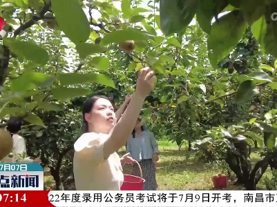 整点新闻20220707 14:00
