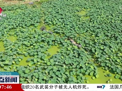 整点新闻20220727 14:00