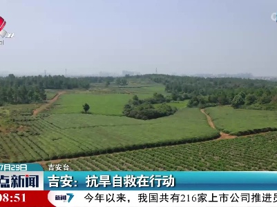 吉安：抗旱自救在行动