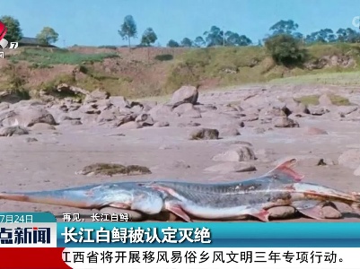 【再见，长江白鲟！】长江白鲟被认定灭绝
