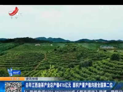 去年江西油茶产业总产值416亿元 面积产量产值均居全国第二位