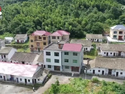 社会传真20220703 潜藏深山制毒团伙的覆灭
