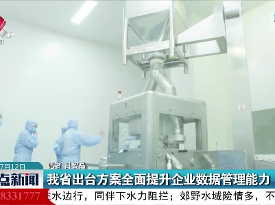 我省出台方案全面提升企业数据管理能力