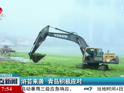 浒苔来袭 青岛积极应对