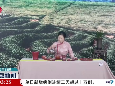 第五届全国茶业职业技能竞赛茶艺竞赛总决赛在遂川开幕