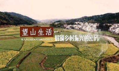 望山生活，解锁乡村振兴的密码