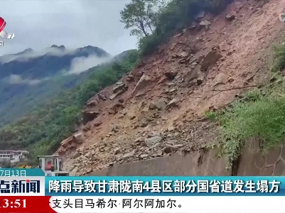 降雨导致甘肃陇南4县区部分国省道发生塌方