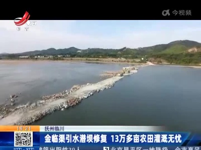 抚州临川：金临渠引水潜坝修复 13万多亩农田灌溉无忧