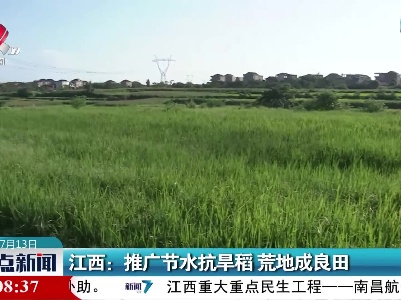 江西：推广节水抗旱稻 荒地成良田