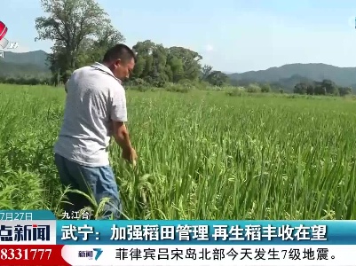 武宁：加强稻田管理 再生稻丰收在望