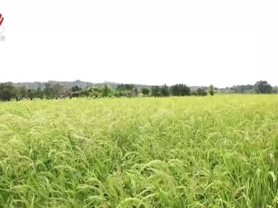 省防指部署当前防旱抗旱工作