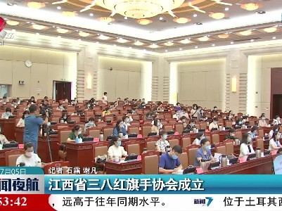 江西省三八红旗手协会成立